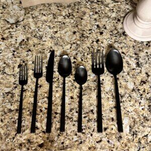 Williams-Sonoma Cyprus 42 piece flatware set